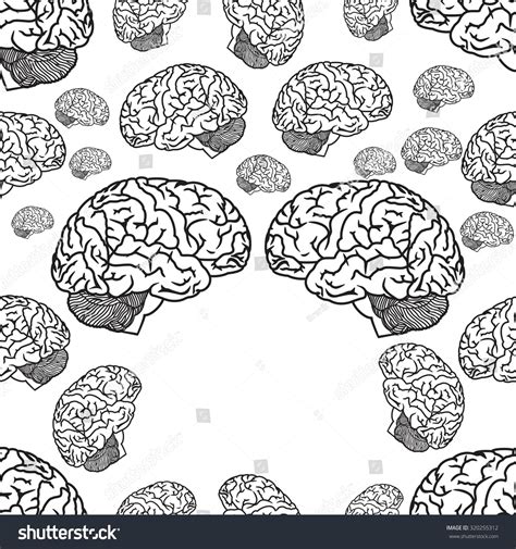 Brain Pattern Vector 的图像结果