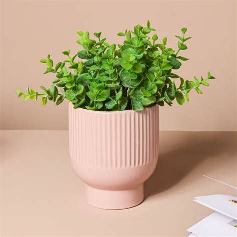 Dispenser Bottle Online - Premium Dispenser | Nestasia