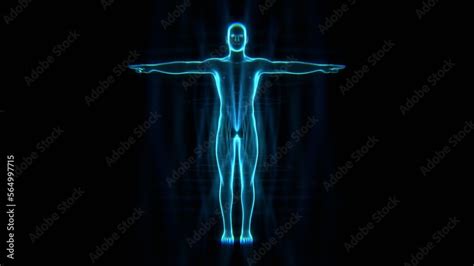 Human Body Machine 的图像结果