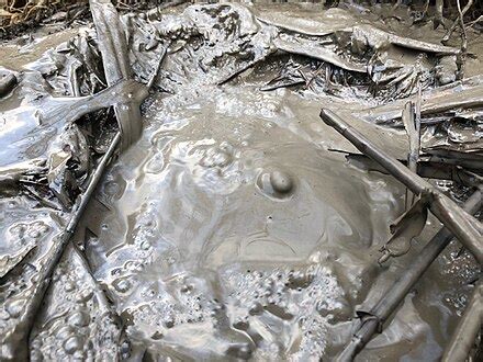 Mud Python 的图像结果