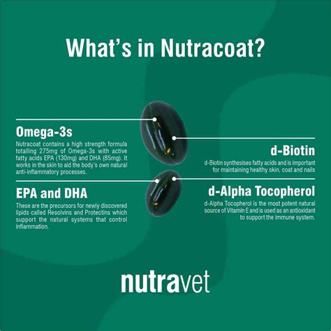Nutracoat Supplement For Itchy Dogs and Cats