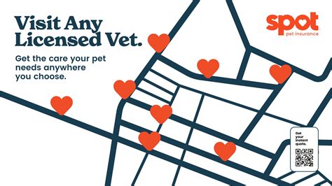 SPOT PET INSURANCE - LOMBARDO