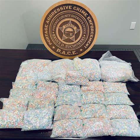 Portage County Sheriff’s Office seizes 24 pounds of pills