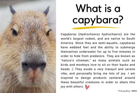 Printable Capybara Valentine's Day Cards | Capybara Classroom Valentine's Day Cards for Kids ...