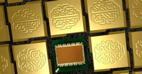 Primal Behavior Chip 的图像结果