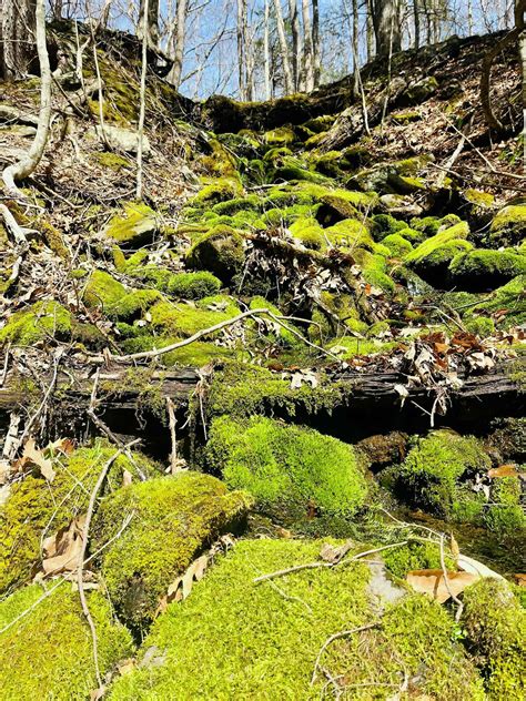 Devil's Path: Tips for hiking the Catskills' hardest trail