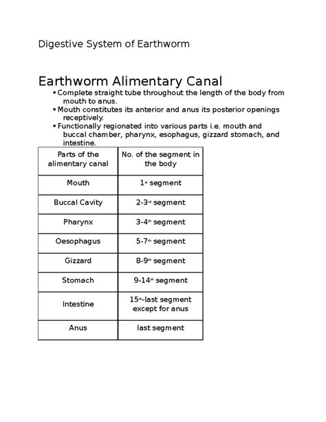 Digestive System of Earthworm - Digestive System of Earthworm Earthworm Alimentary Canal ...