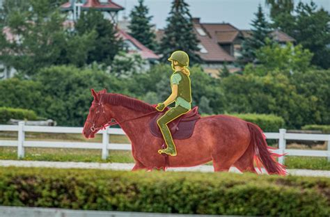 Annotation for Machine Learning Illustartion 的图像结果