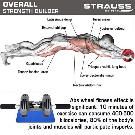 Strauss Power Stretch Roller – GlobalBees Shop