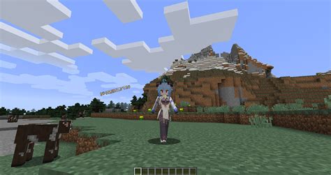 Image result for Customizable Player Models Mod