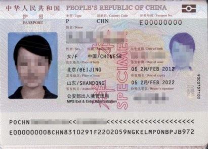 2024最新最全在美更换中国护照攻略（附申请方式+办理时间+收费标准） - Extrabux