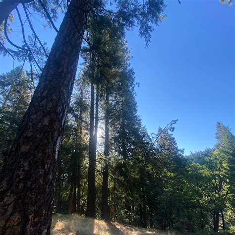 Sly Park Recreation Area Camping | Pollock Pines, California