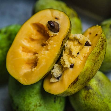 Pawpaw Fruit One Piece at Milla East blog