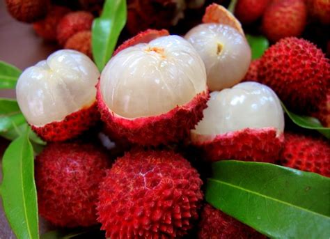 Health benefits of lychee