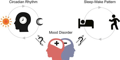 Causal dynamics of sleep, circadian rhythm, and mood symptoms in patients with major depression ...