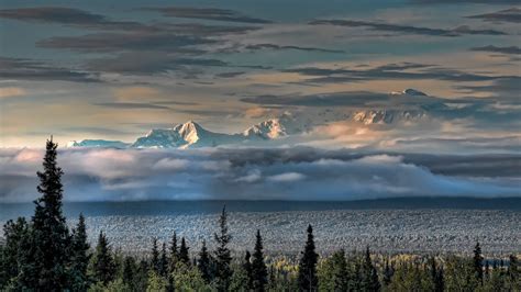 Denali at sunset. Lake Marie Lodge. Alaska. | Alaska, North to alaska ...