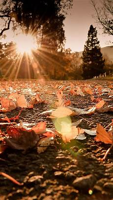 Iphone Xr Hd Wallpaper Autumn by Fond Decran Iphone 7 Hd 11 Photographie De L Automne Iphone Xr Hd Wallpaper Autumn