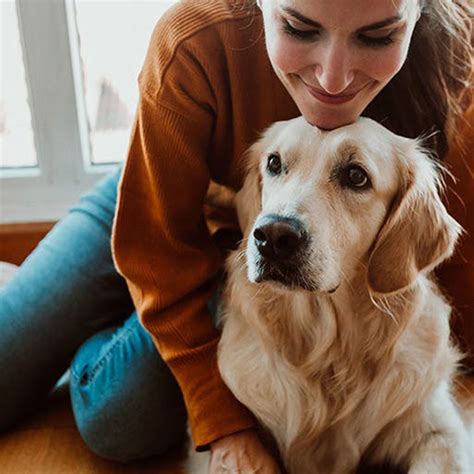 Beyond Companionship: Are Dogs Useful In Modern Daily Life?