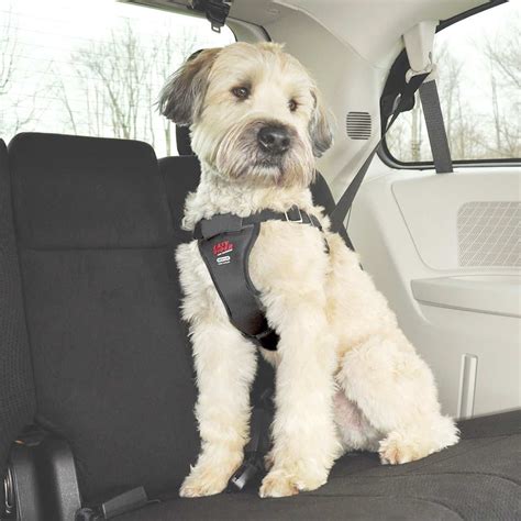Easy Rider Dog Car Harness Instructions at Gail Ervin blog