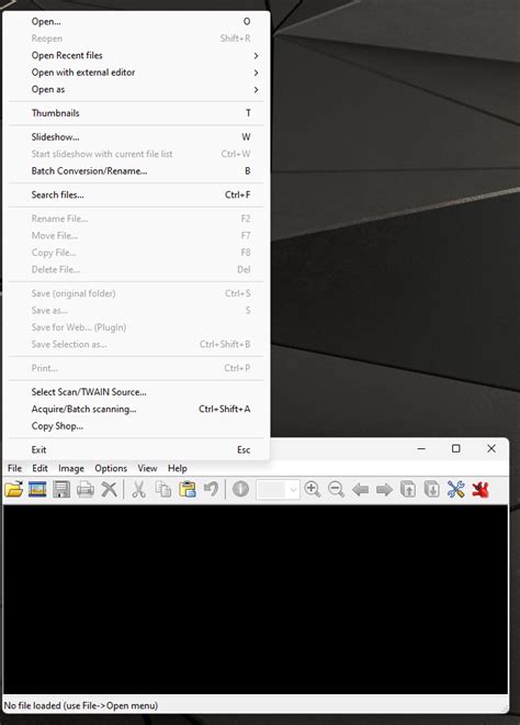 IrfanView Software 的图像结果