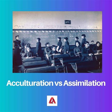 Acculturation vs Assimilation: Difference and Comparison