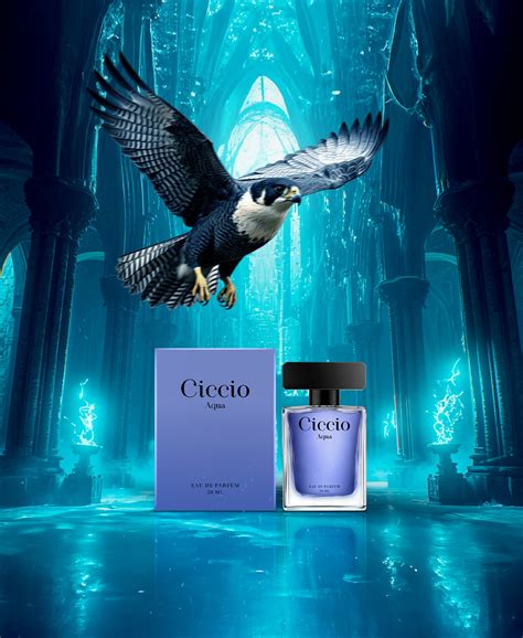Best Luxury Perfume Shops in Ahmedabad, Gujarat – ciccio.in