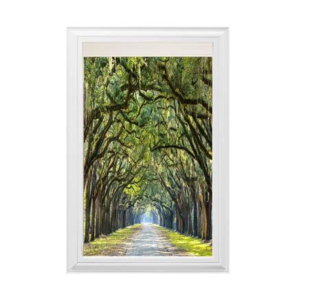 Buy Libra Printed Roller Blind for Window (2 x 5 Feet) Online at Low ...