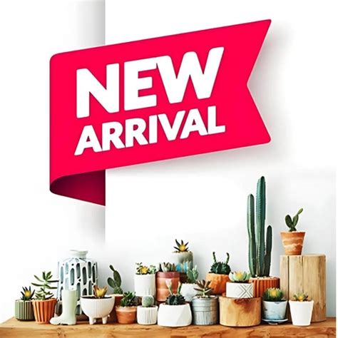 Buy Plants Online in Delhi - Best Online Nursery Plant Store in India