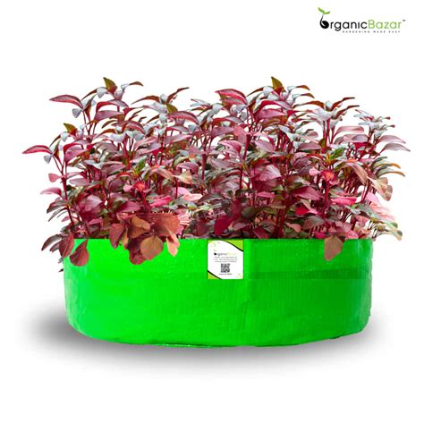 OrganicBazar 24x9 Grow Bag for Leafy Vegetables, Premium HDPE 260 GSM,