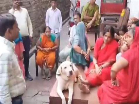 Uttar Pradesh: 4 dead after inhaling toxic fumes while cleaning septic tank