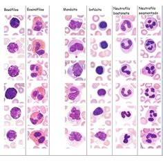 Image result for Bytecode Structure