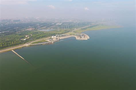 上海外滩水域遭水葫芦入侵 水面如铺“绿毯”——人民政协网