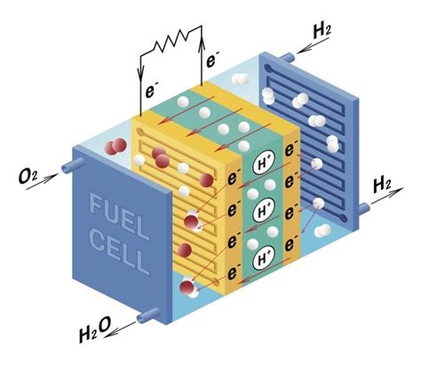 Fuel Cell Structure 的图像结果