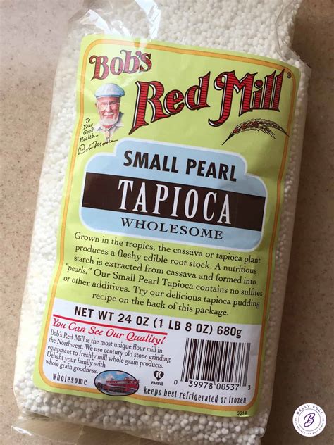 Tapioca Pudding Recipe - Belly Full