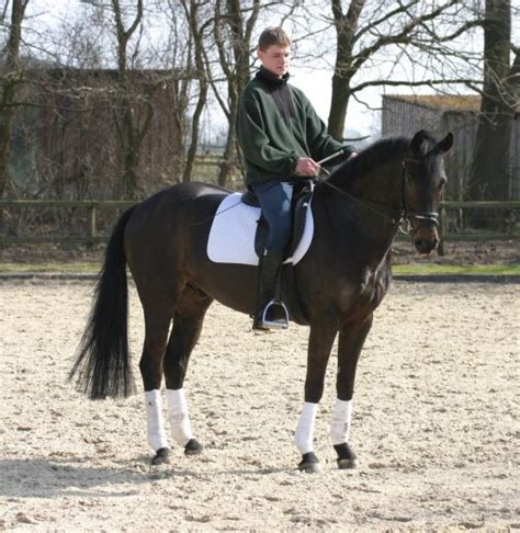 Sonstiges Kleinanzeigen