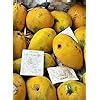Mango King Fruit and Vegetable Ripening Ethylene GAS SACHETS - PACK OF ...
