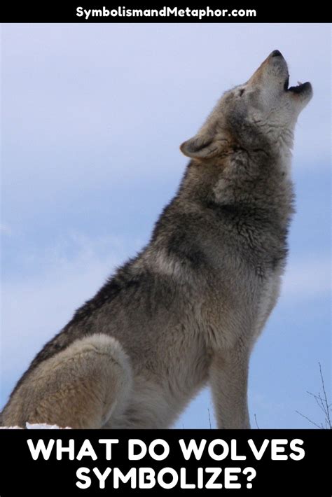 Wolves: Guardians of the Spirit Realm