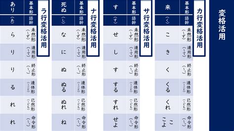 Auto Docstring Visual Studio 的图像结果