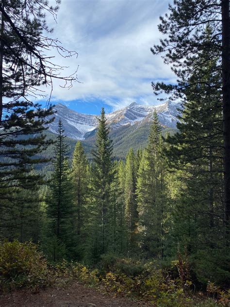 Weekly Word Wandering: Greenland kicks the bear; firsthand frustration at reshoring; and ...