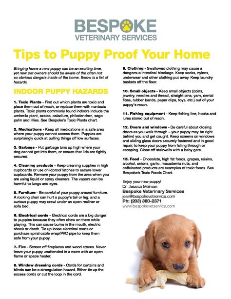 Tips to Puppy Proof Your Home - Bespoke Veterinary Services