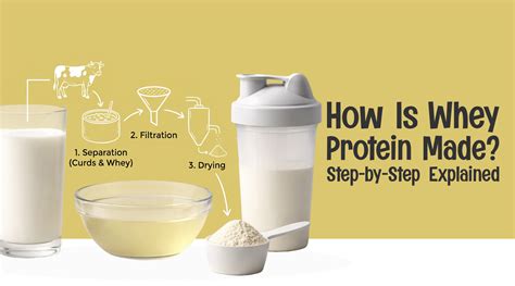 10 Best Protein Powders for Weight Gain & Fast Muscle Growth (Updated)