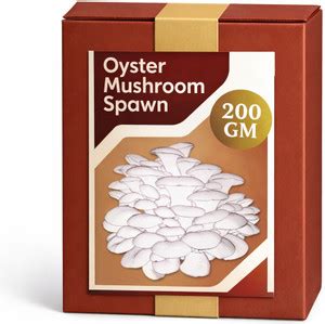 Dutta Oyster Mushroom Spawn (Dhingri / Kaalan) (200g = 2000+ Seeds ...