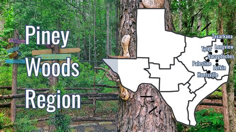 Regions of Texas - Field Trip Texas