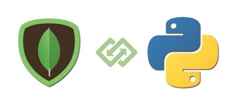 Image result for Backend API Connecting MongoDB and Python