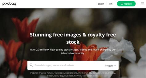 Online Pictu 的图像结果