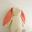 Image result for Free Easter Bunny Sewing Patterns