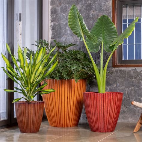 RIB VERTICAL XL | LUXURY ONLINE PLANTER INDIA | SUKHAM HOME & GARDEN ...