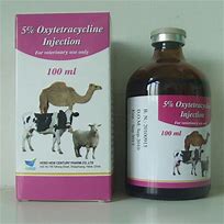 Image result for oxytetracycline