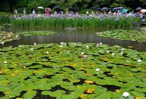 Image result for Flowchart Pemrograman LED
