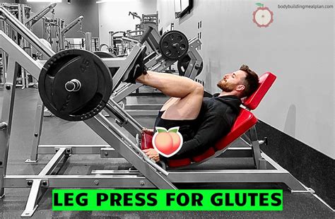How To Use Leg Press Machine For Glutes at Tashia Wood blog